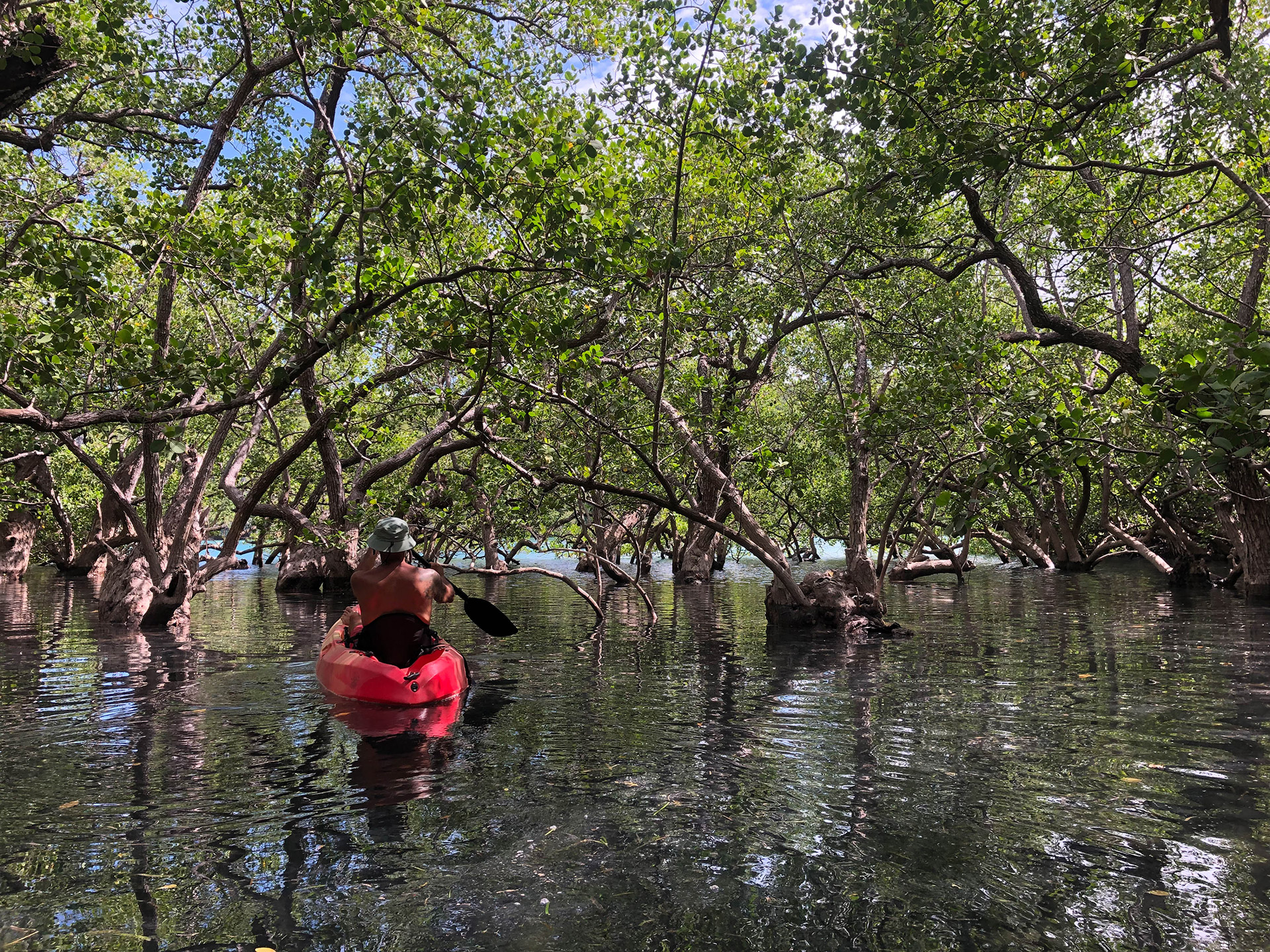ile de Rote - Indonésie