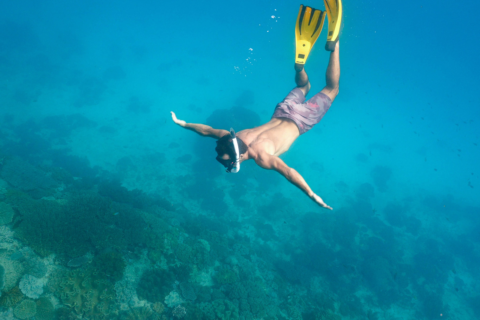 ile de Rote - Indonésie