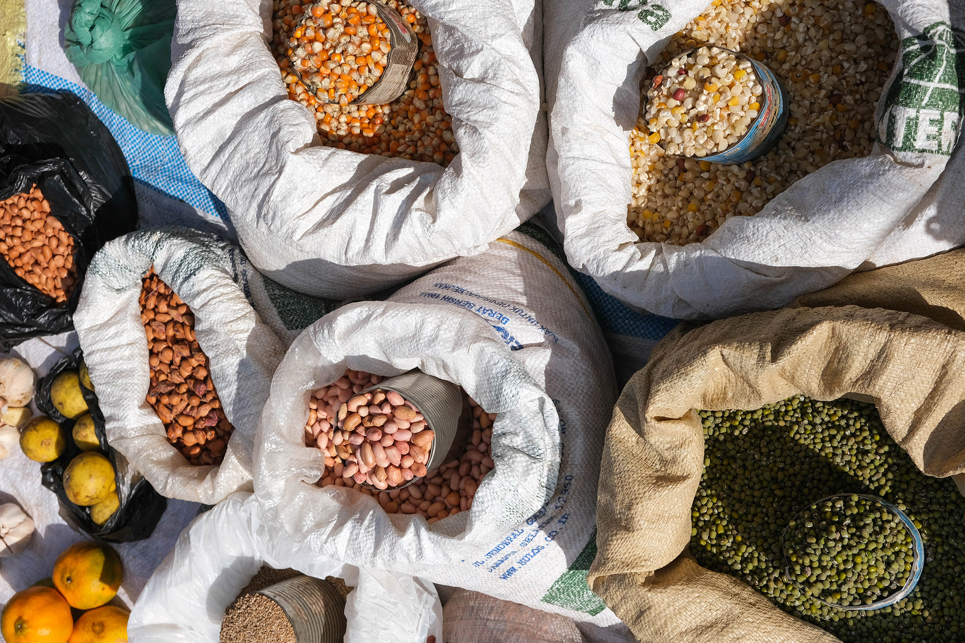 ile de Rote - Indonésie