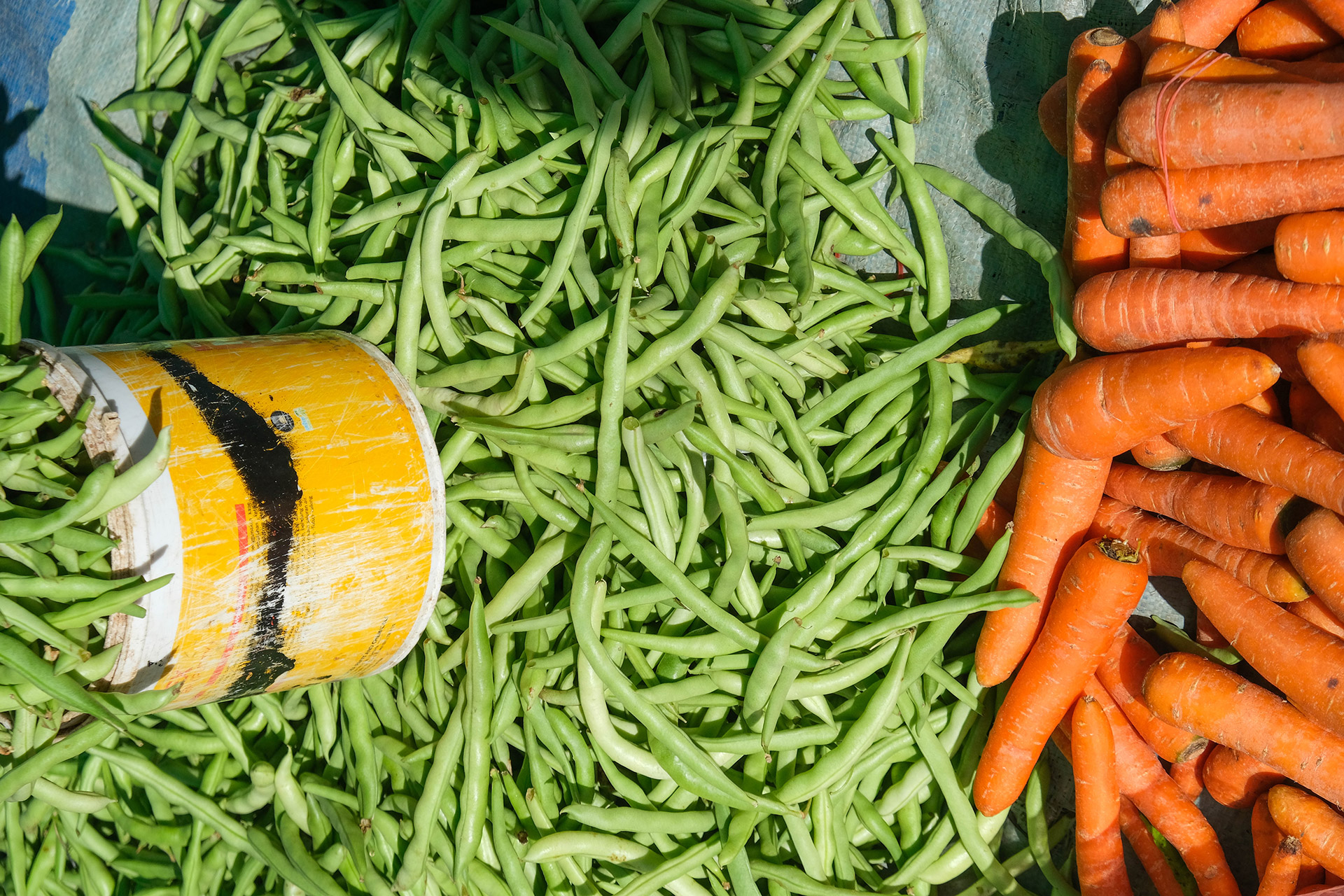 ile de Rote - Indonésie