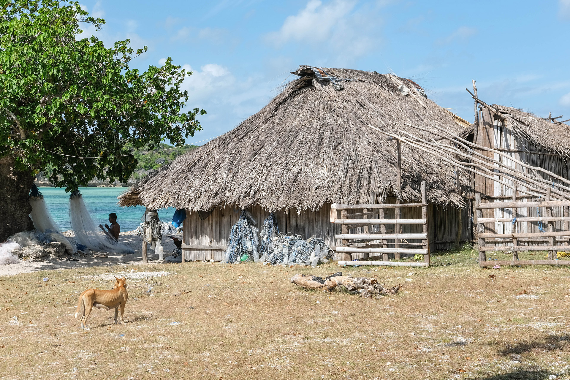 ile de Rote - Indonésie