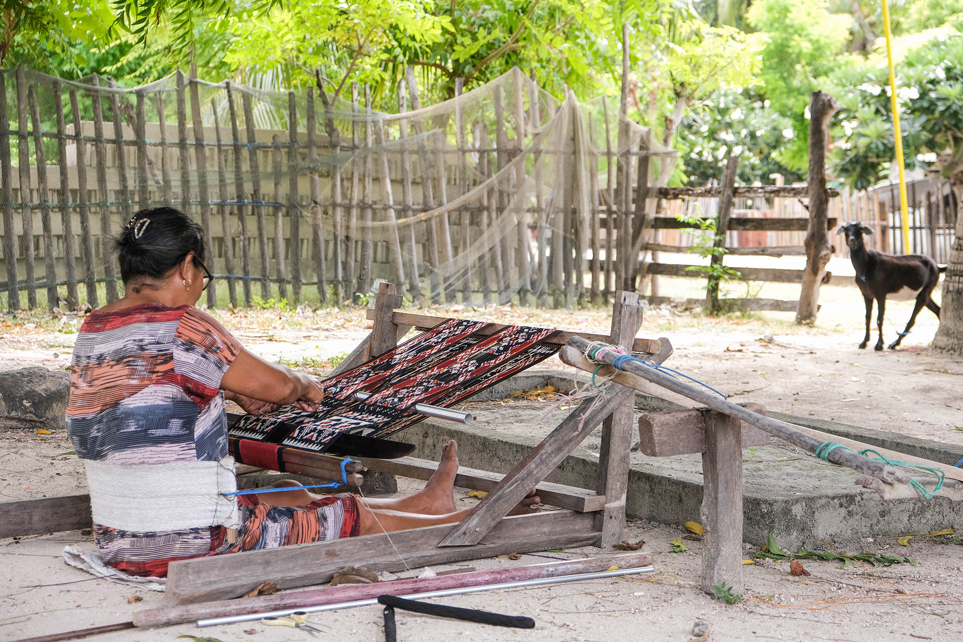 ile de Rote - Indonésie