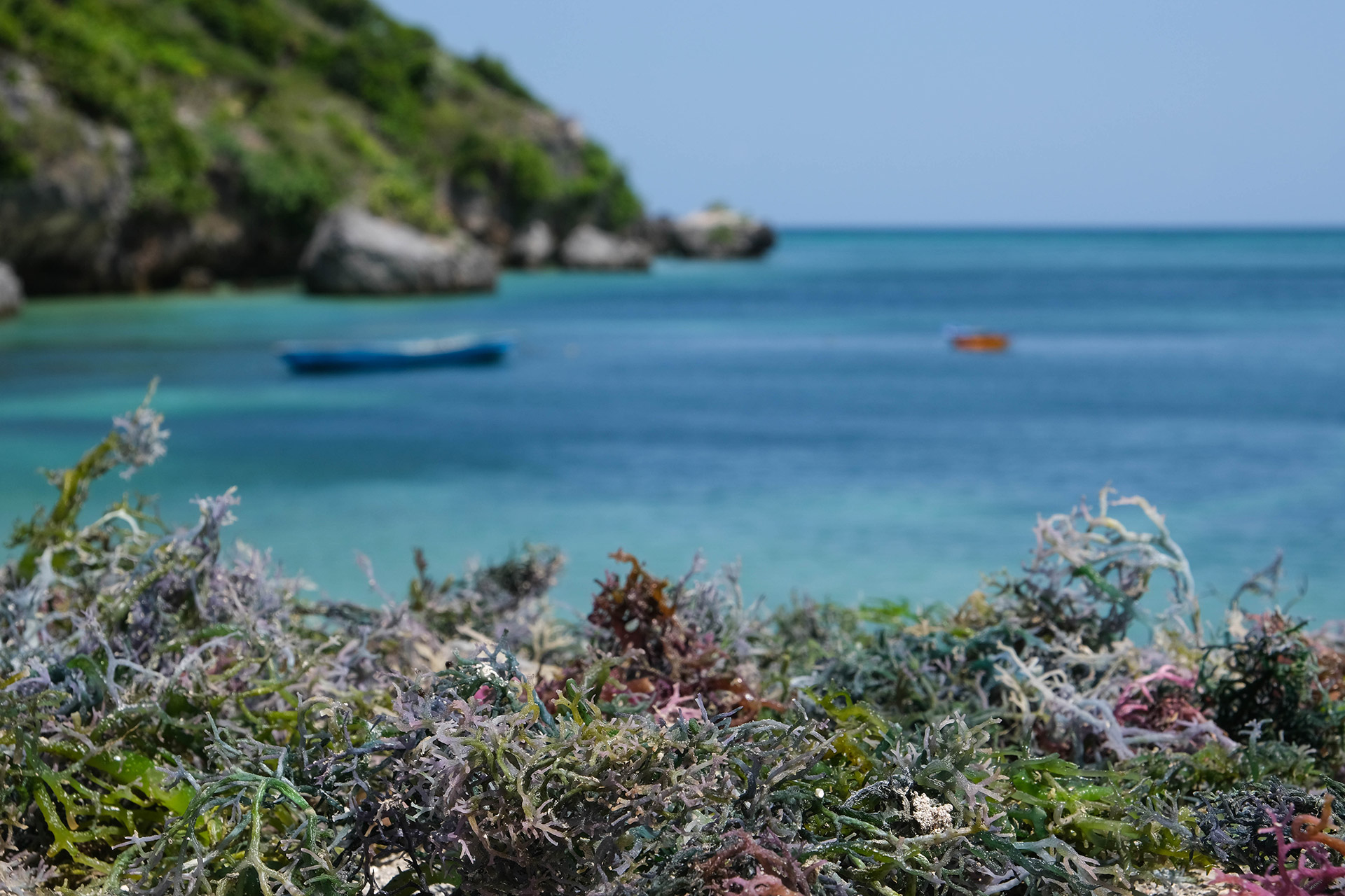 ile de Rote - Indonésie