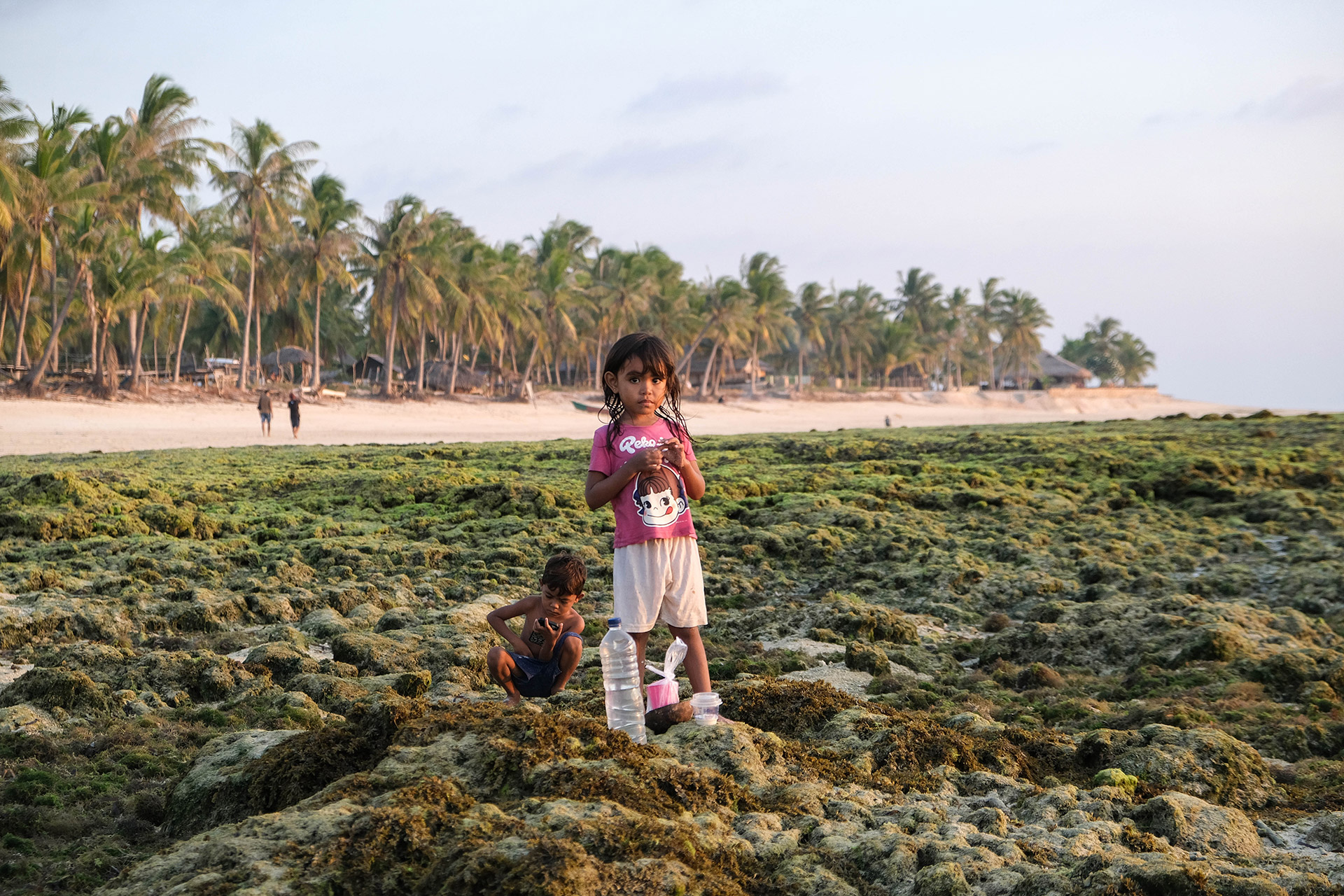 ile de Rote - Indonésie