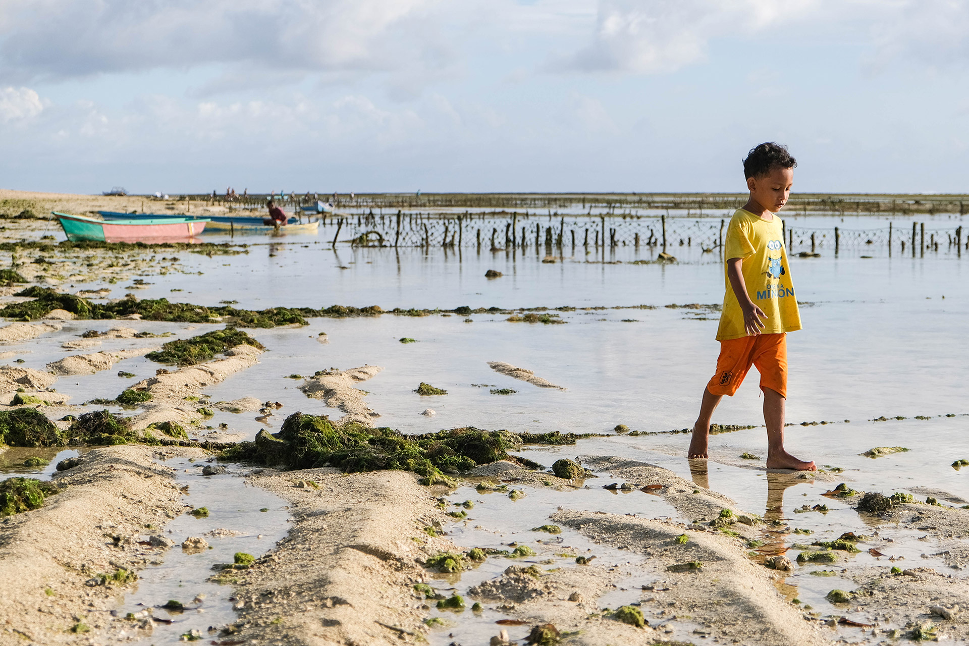ile de Rote - Indonésie