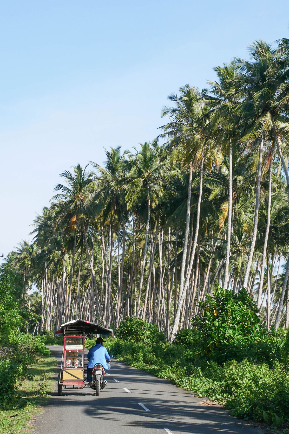 ile simeulue sumatra
