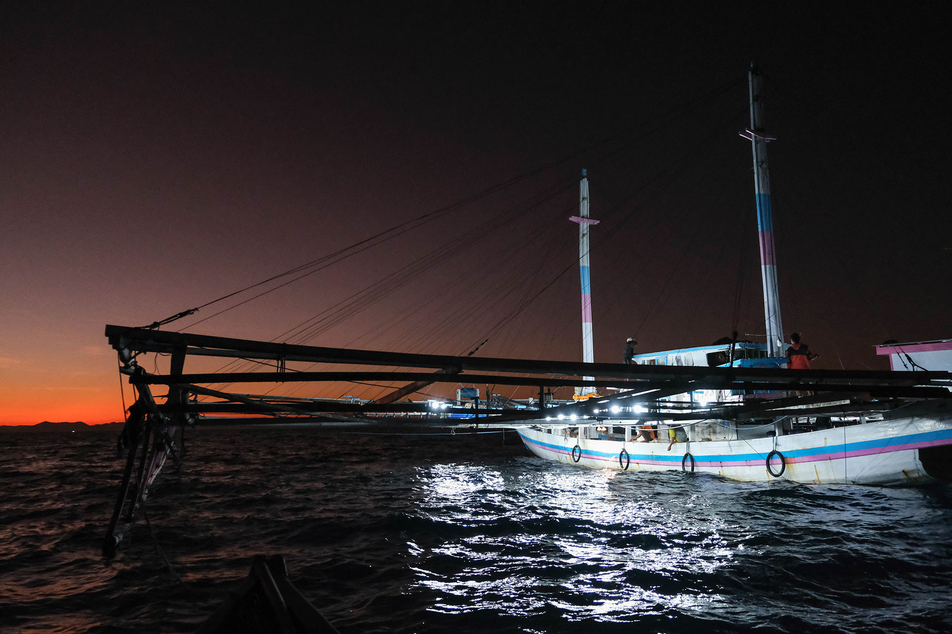 sumbawa requins baleines 