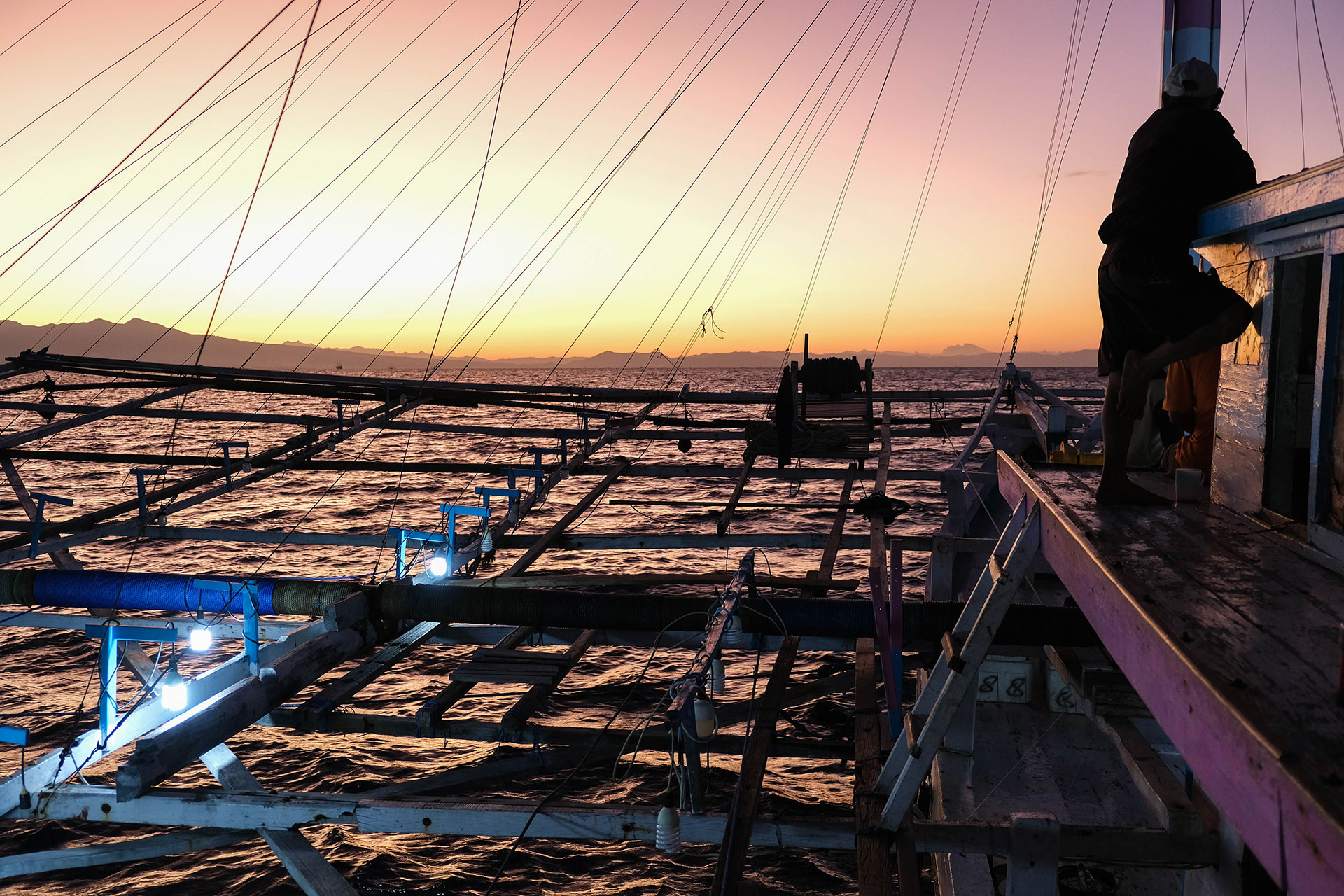 sumbawa requins baleines 