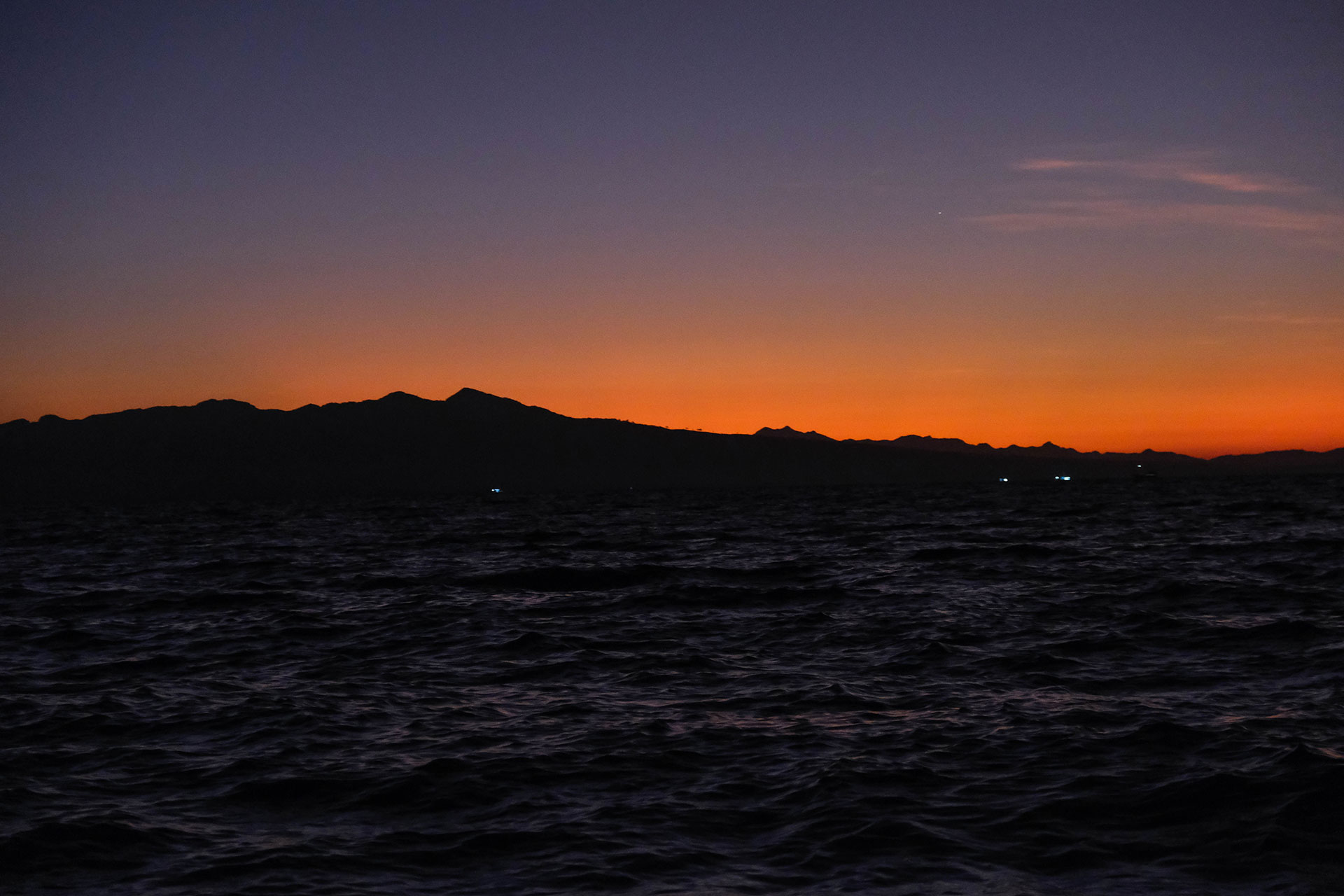 sumbawa requins baleines 