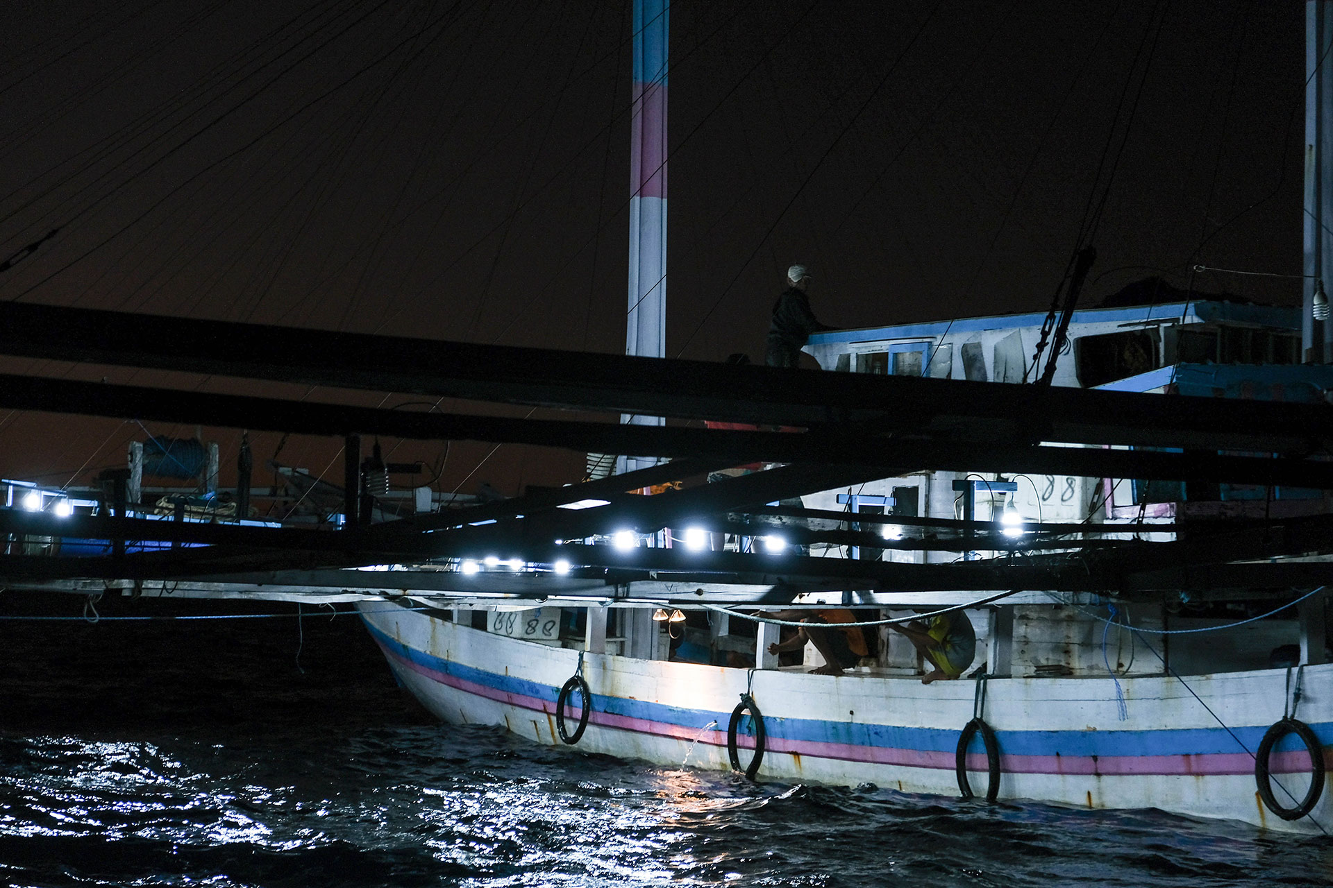 sumbawa requins baleines 