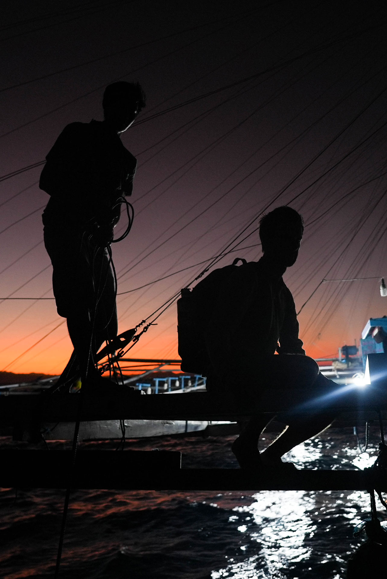 sumbawa requins baleines 