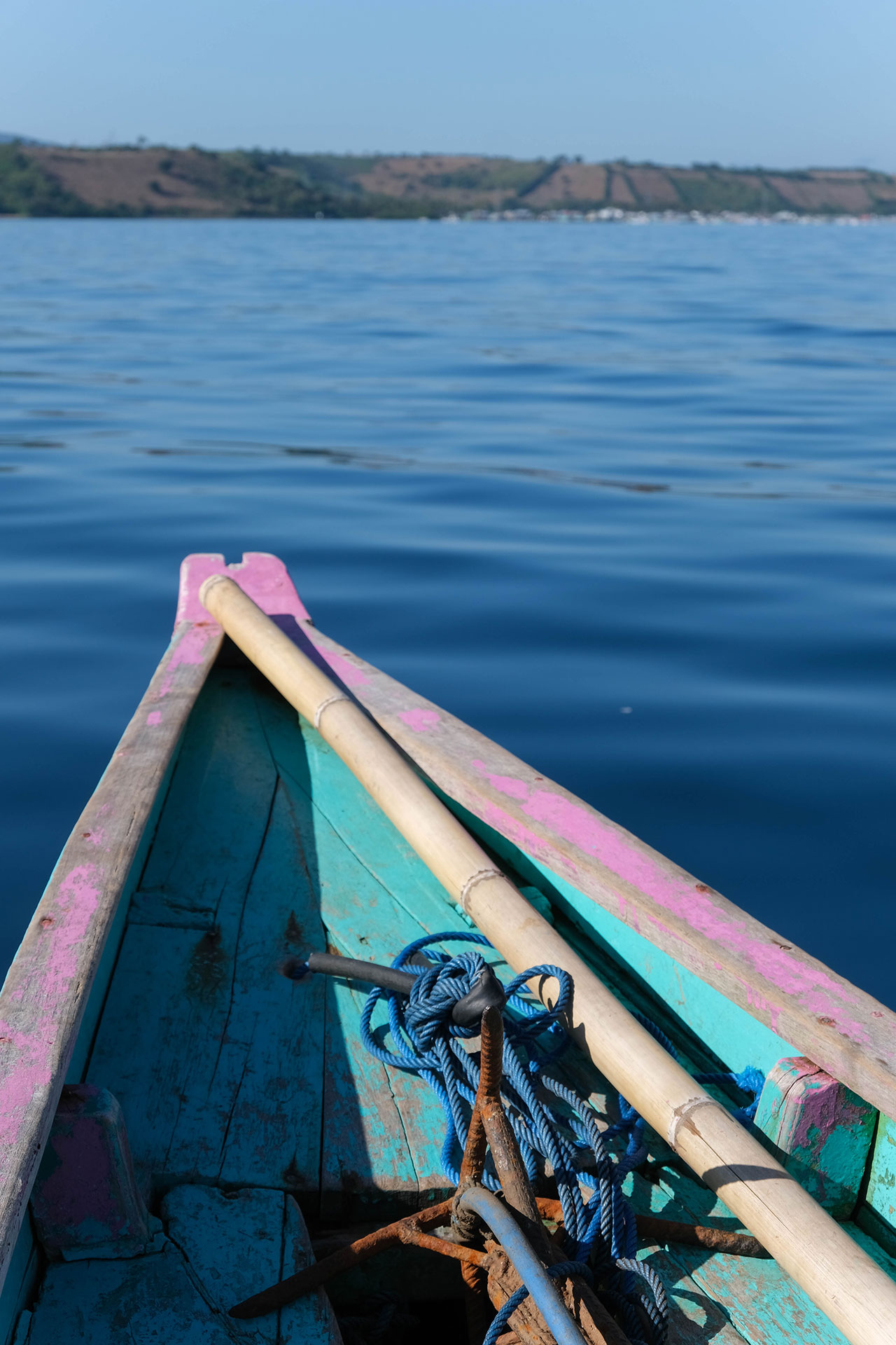 sumbawa requins baleines 