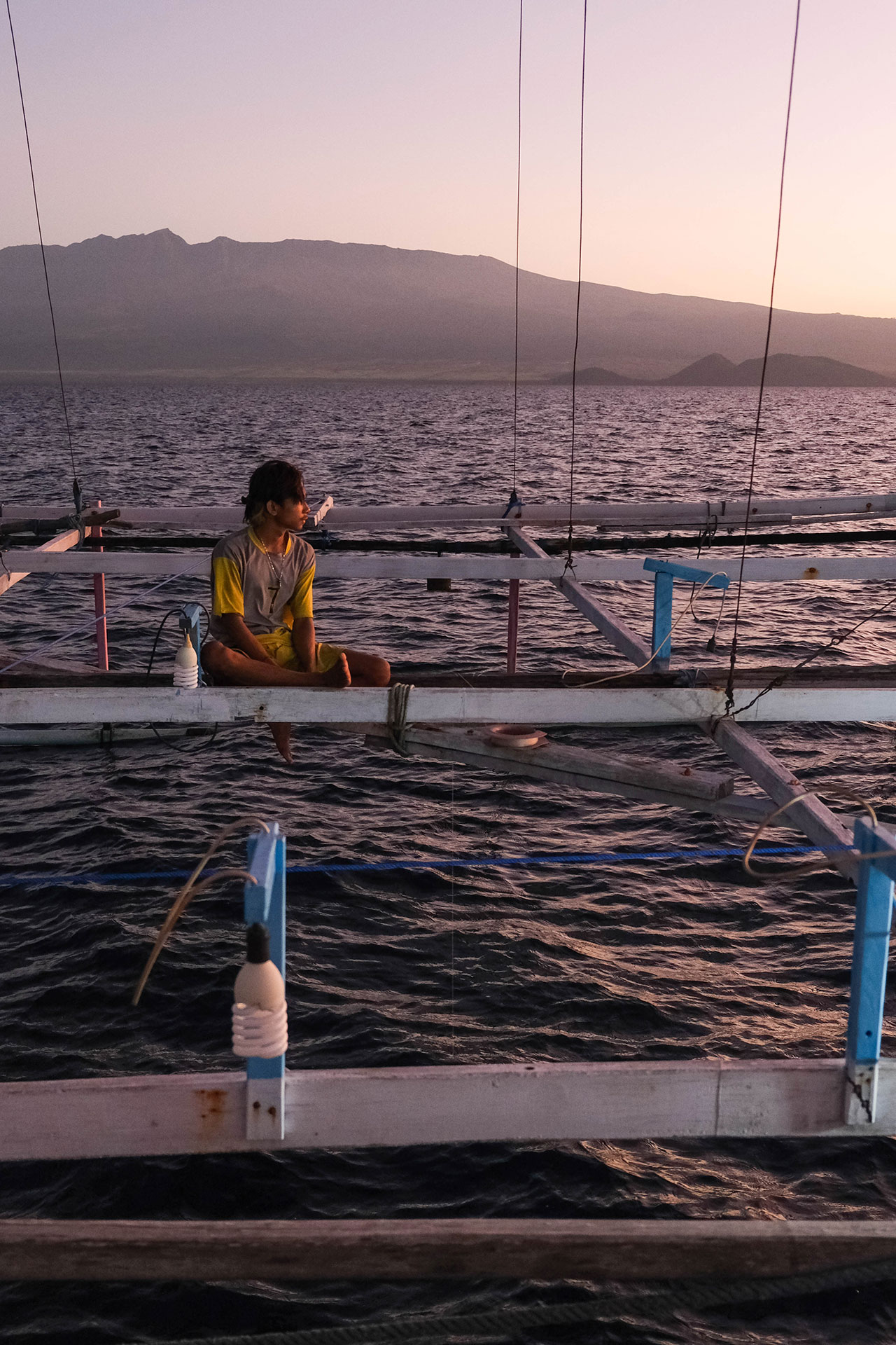 sumbawa requins baleines 