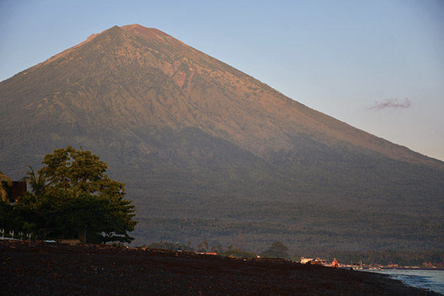 AMED