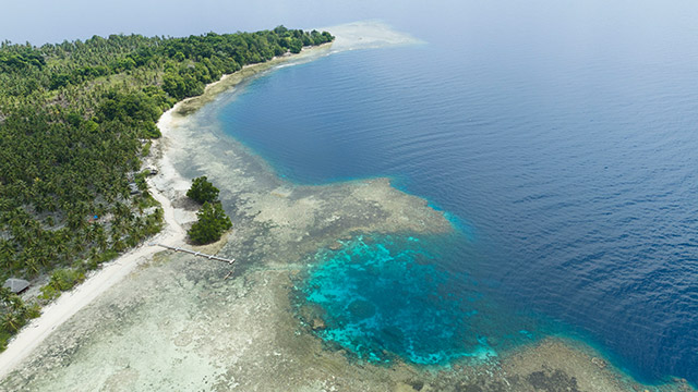 hôtel Sulawesi CABB