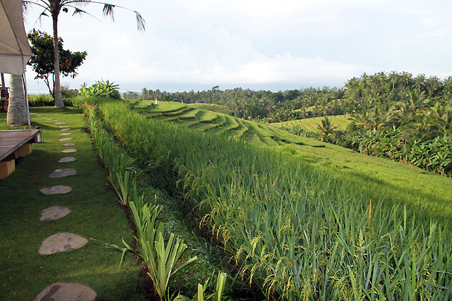 Camping Bali cacb
