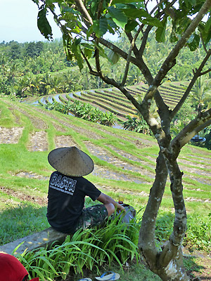 Camping Bali cacb