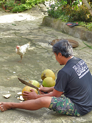 Camping Bali cacb