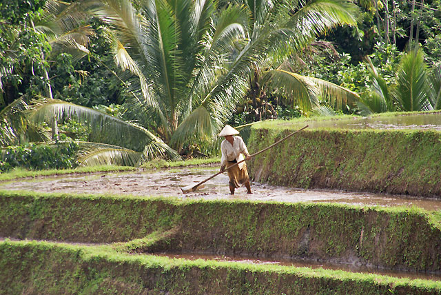 hôtel Bali CAEL