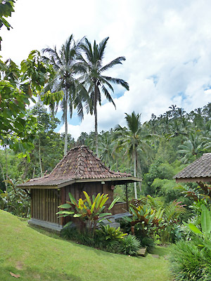 hôtel Bali CAES