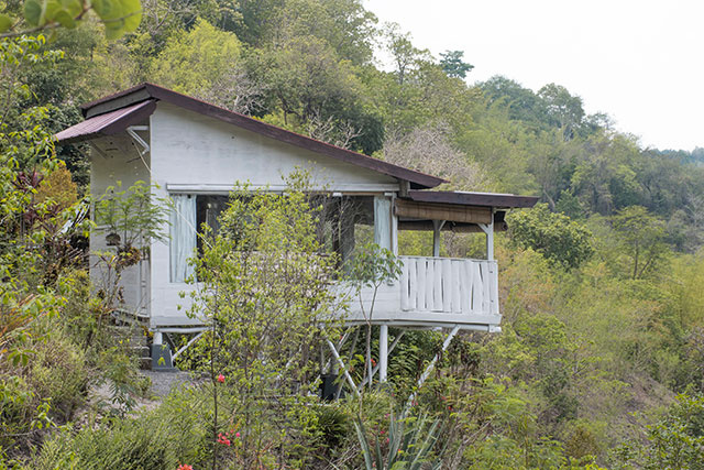 hôtel Flores CAFO