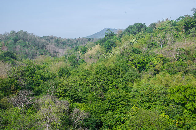 hôtel Flores CAFO