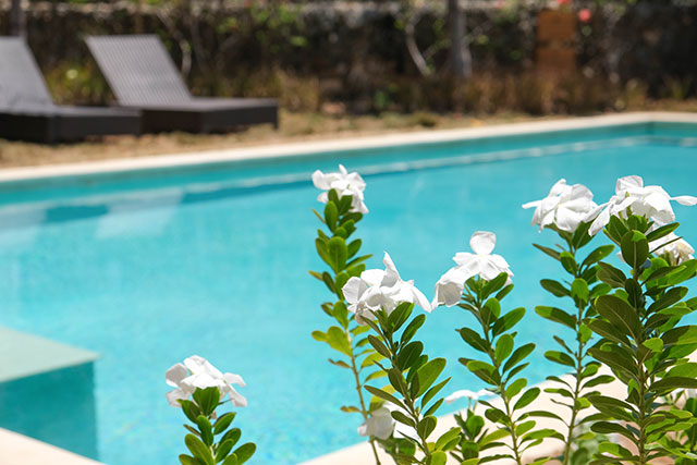 hôtel Sumba CAFS