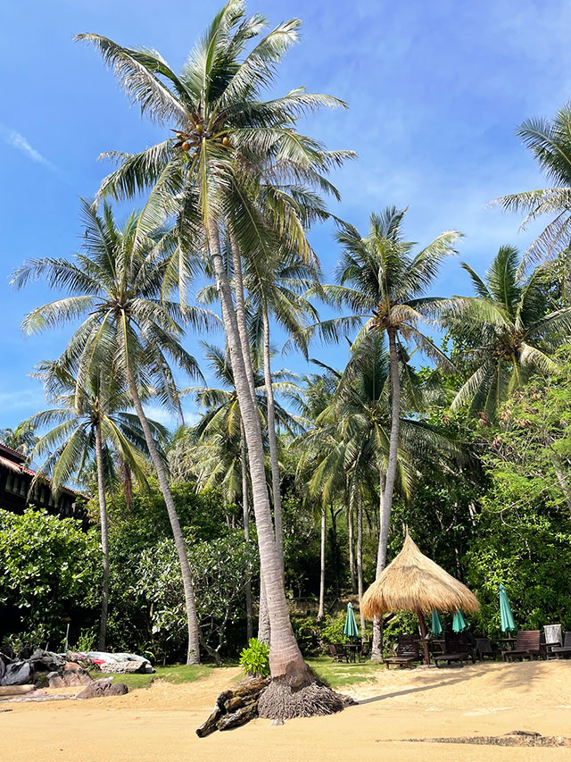 hôtel Karimunjawa CAKAM