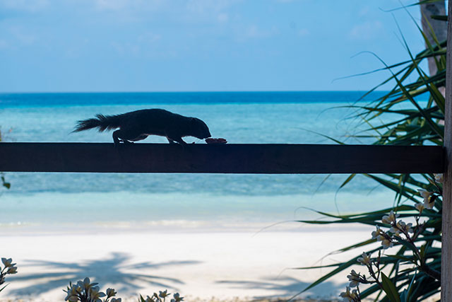 hôtel selayar CASLAE