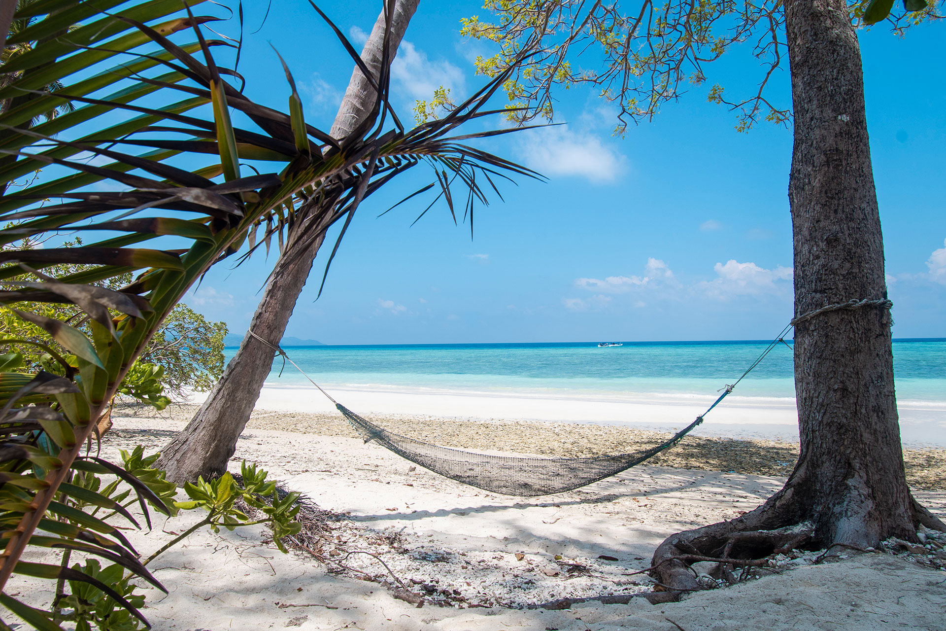 hôtel selayar CASLAE