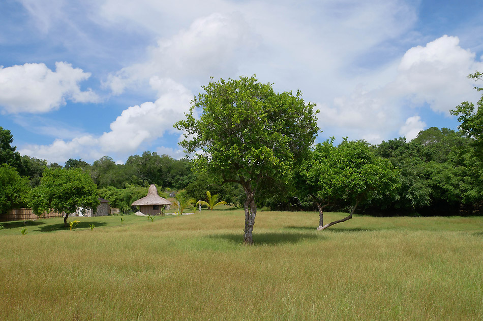 hôtel Sumba CASR