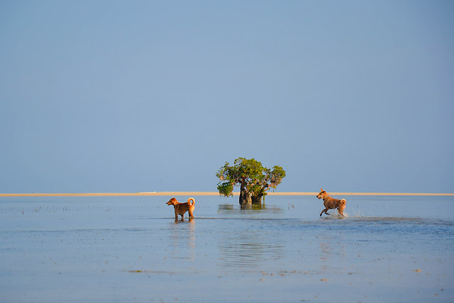 hôtel Sumba CASR