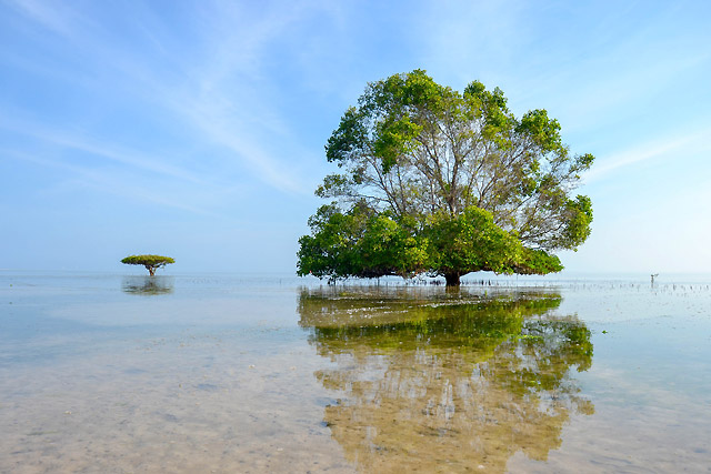 hôtel Sumba CASR