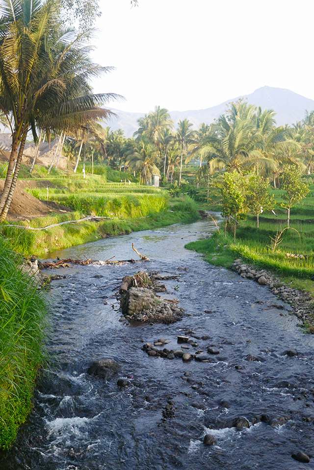 hôtel Lombok CATTE