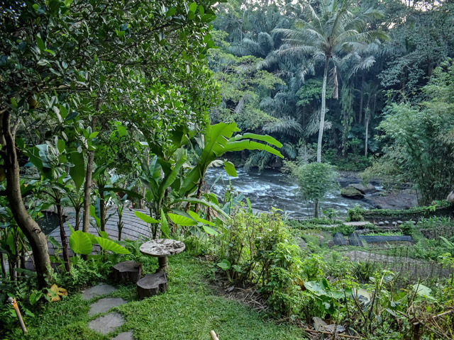hôtel Bali CAUB