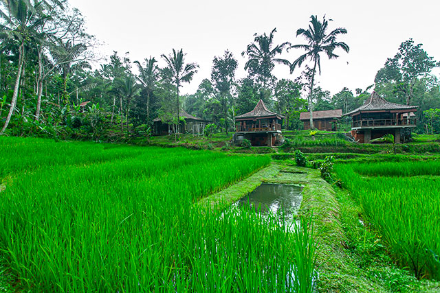 hôtel Bali CAWG
