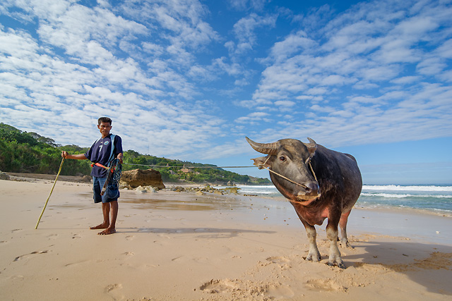 hôtel Sumba CGLSU