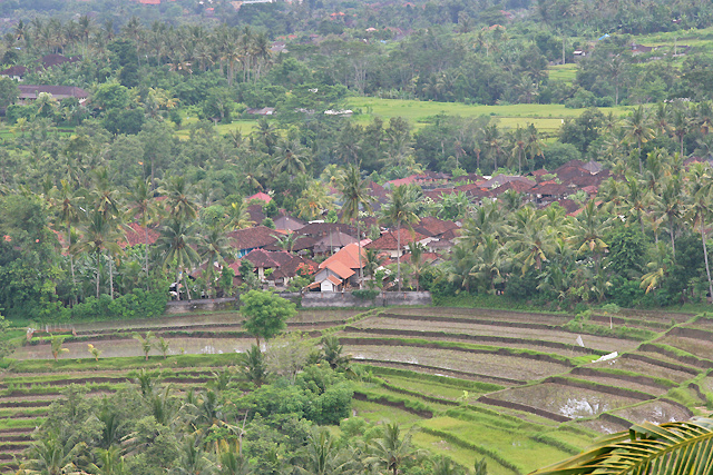 Chez l'habitant à Bali Puja