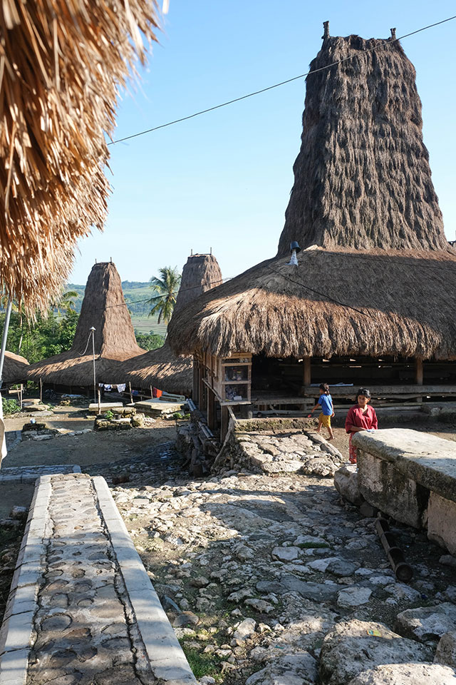 Chez habitant Sumba CHSU