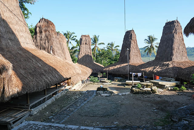 Chez habitant Sumba CHSU