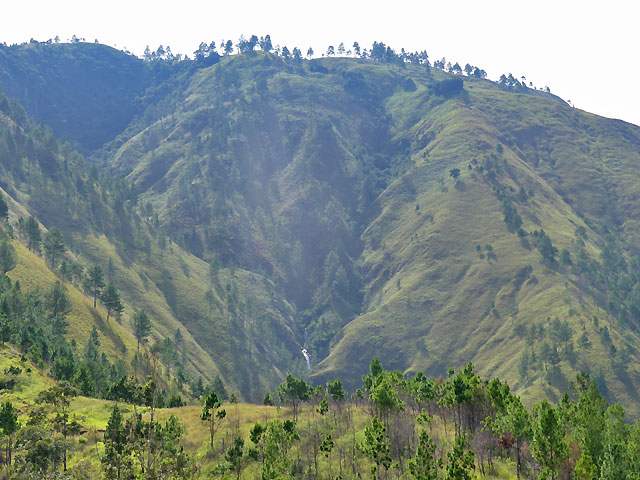 Habitant Sumatra CHTO