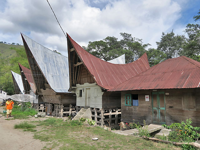 Habitant Sumatra CHTO