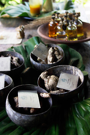 hôtel Bali clman