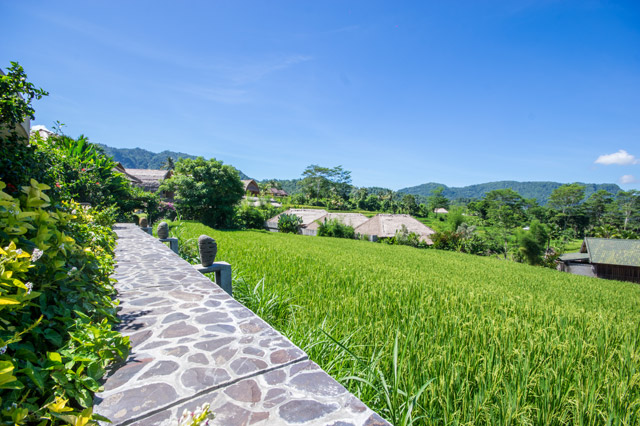 hôtel Bali CLIE