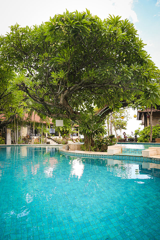 hôtel Bali CMAMD