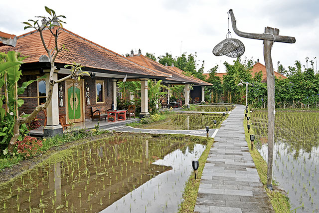 hôtel sulawesi CMBAN