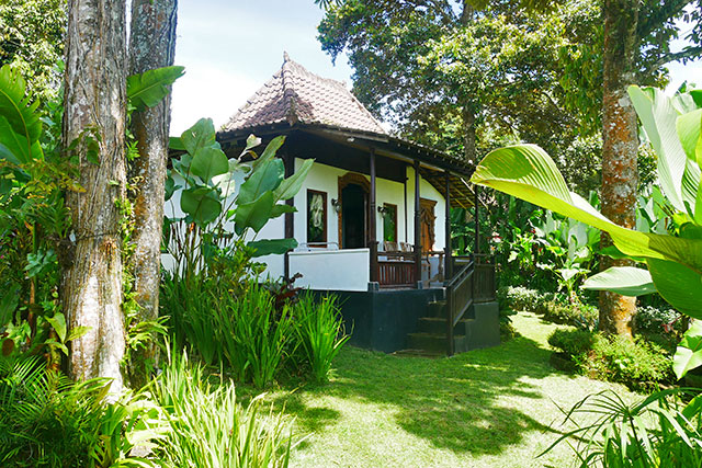 hôtel Bali CMBB