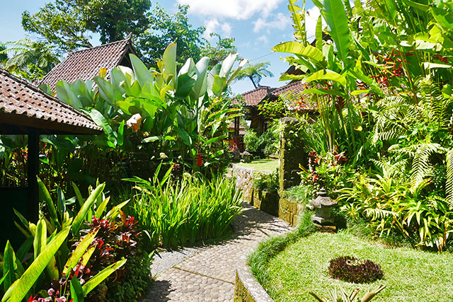 hôtel Bali CMBB