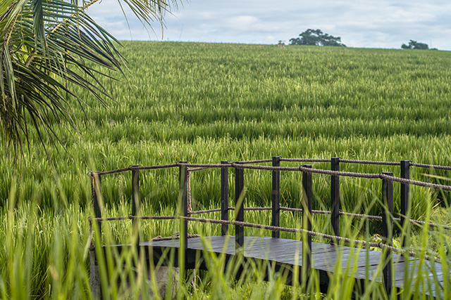hôtel Bali CMBC