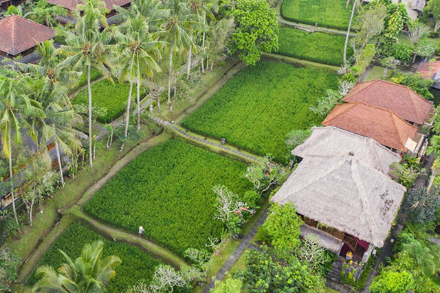 hôtel Bali CMCSA
